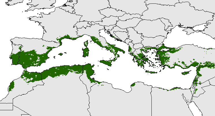 Olive Potentialverteilung. Biologischer Indikator aus Mittelmeerregion (Oteros, 2014)[1]