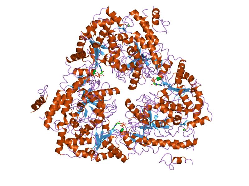 File:PDB 1sk6 EBI.jpg