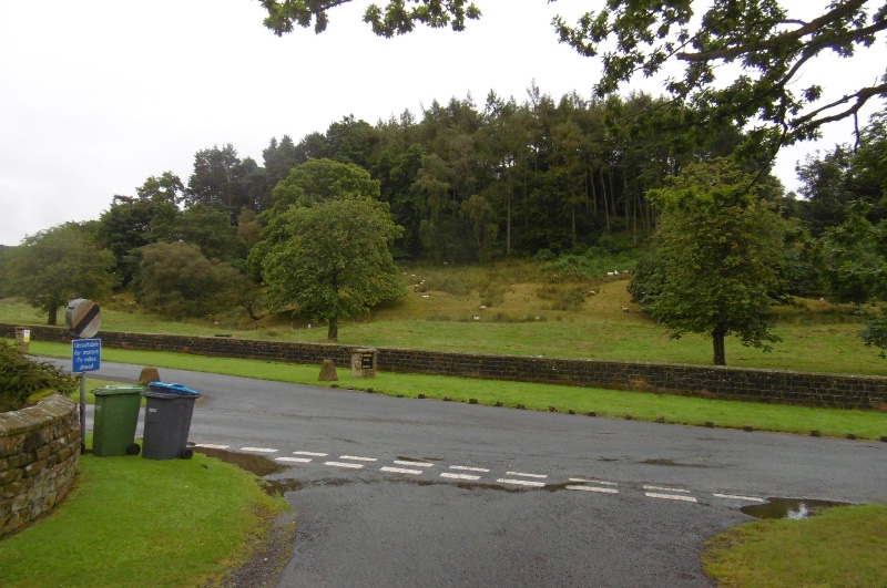 File:Park, Kepwick - geograph.org.uk - 5097250.jpg