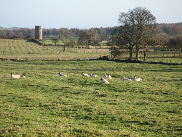 File:Pastures south of Great Whittington - geograph.org.uk - 623508.jpg