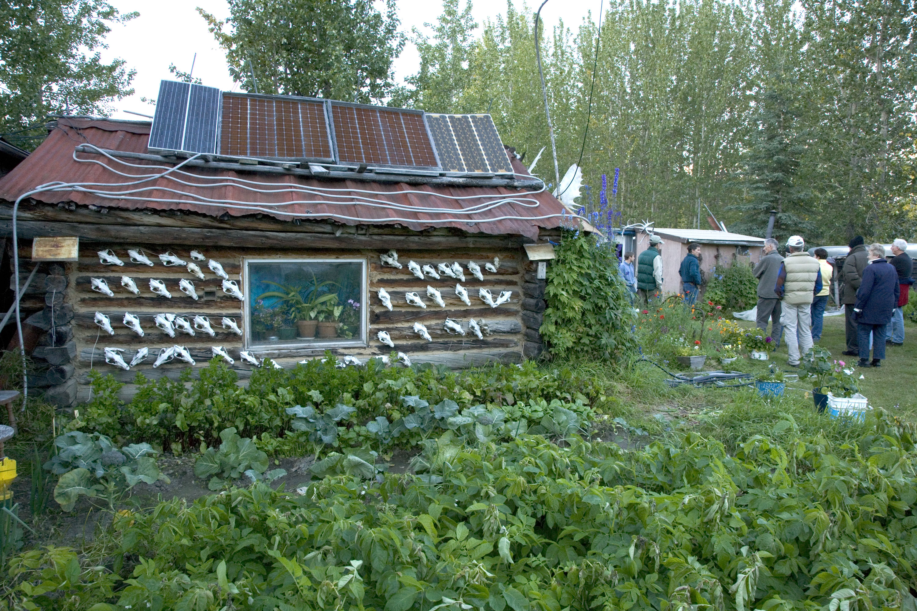 File:Reakoff cabin, Wiseman, Alaska.jpg - Wikimedia Commons