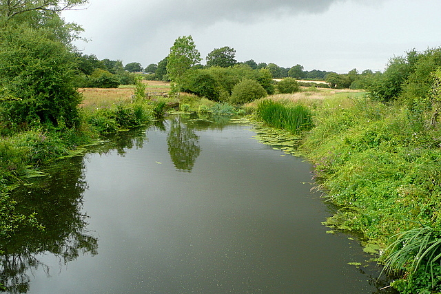 River Arun - geograph.org.uk - 2013416