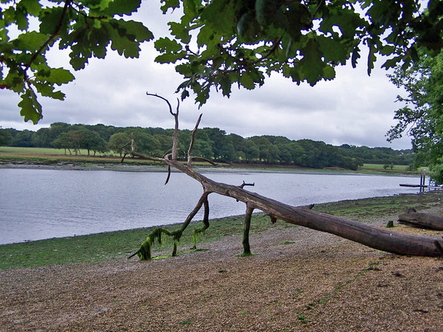 River Hamble from Manor Farm Country Park - geograph.org.uk - 2033250
