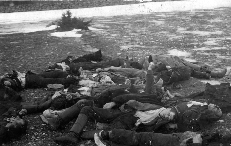 File:Saaremaa 1919.a. mässu ajal karistussalga poolt tapetud Upa karjamaal.jpg