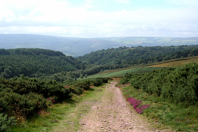 File:Selworthy, above Selworthy Combe - geograph.org.uk - 547641.jpg