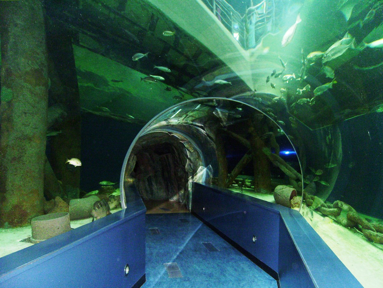 The maritime aquarium and museum interior