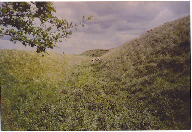 The Wansdyke on Tan Hill. - geograph.org.uk - 185604