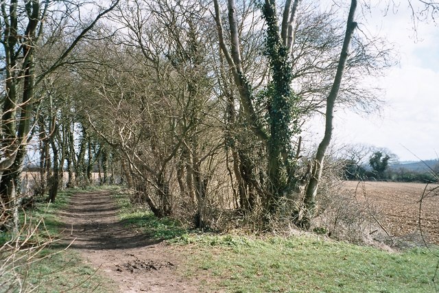 File:Tree-lined stretch of the Oxfordshire way - geograph.org.uk - 151406.jpg