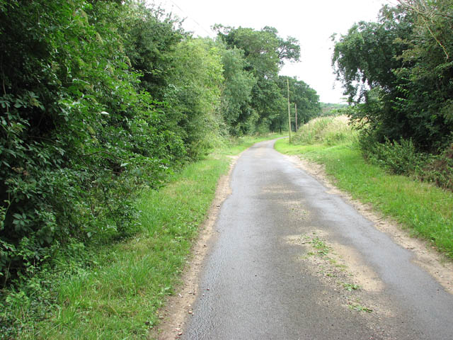 File:View south along Hall Lane - geograph.org.uk - 1392731.jpg