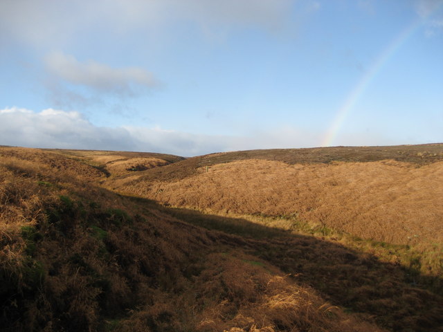 File:Watercourse below Tranmire Hill - geograph.org.uk - 308841.jpg