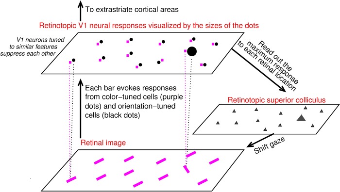 Salience Map