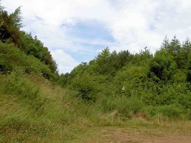 File:A very restricted byway off Farmington Road - geograph.org.uk - 1392570.jpg
