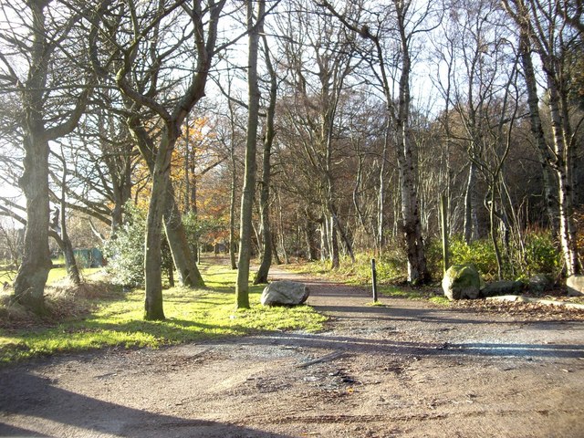 File:A woodland walk - geograph.org.uk - 1590138.jpg