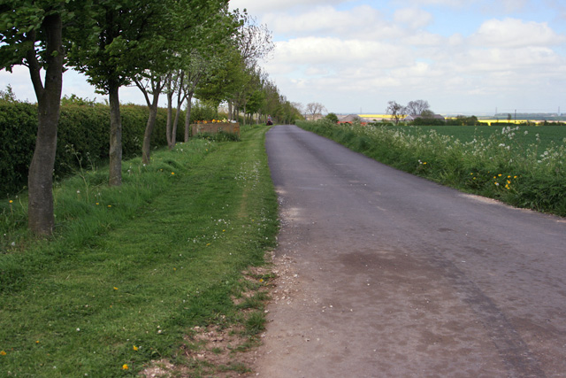 File:Access road to Monckton Walk - geograph.org.uk - 802215.jpg