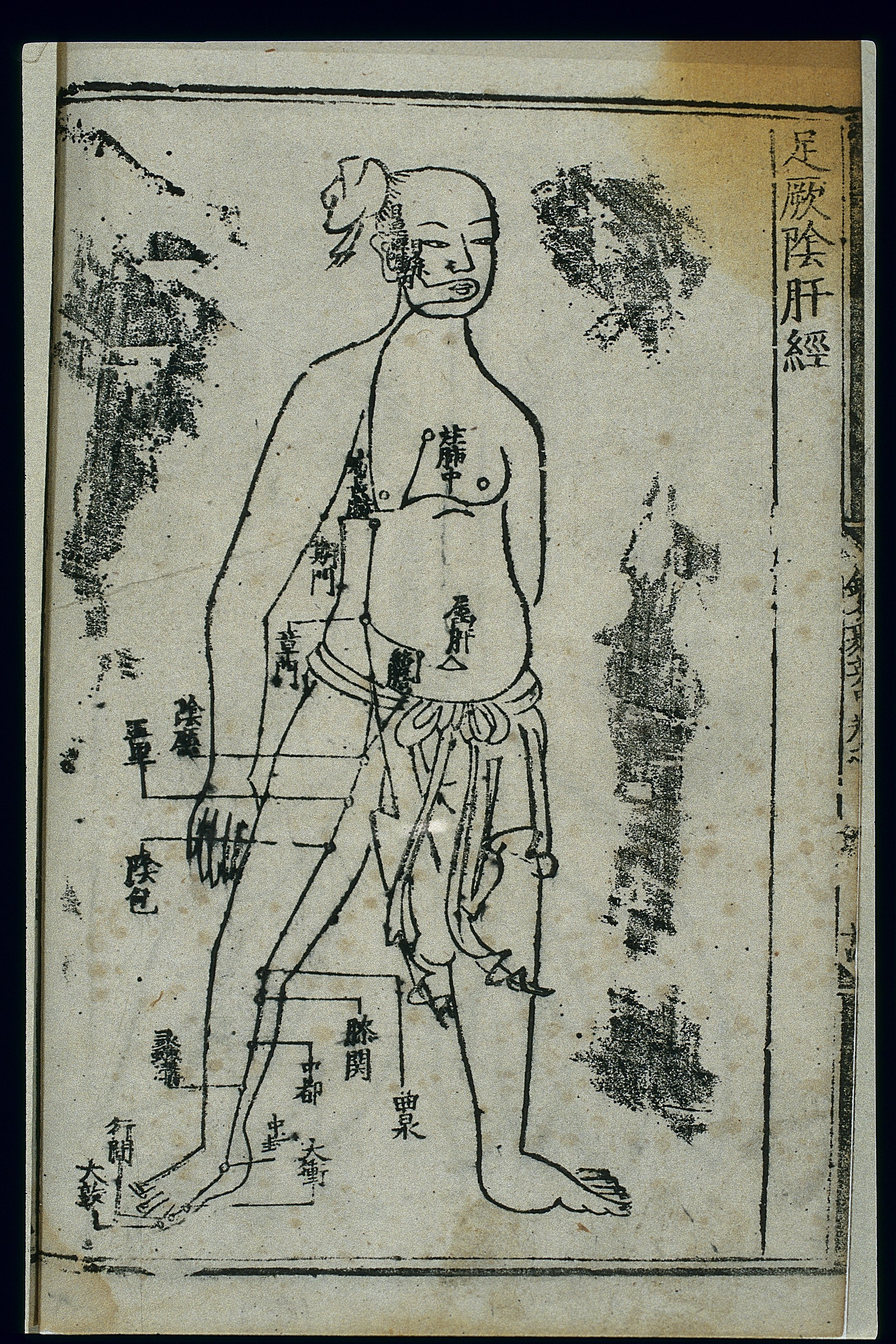 Foot Acupuncture Chart