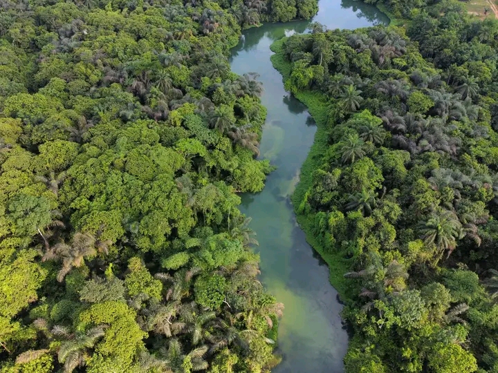 File:Azumini Blue River in Abia state, Nigeria.jpg