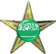 File:Barnstar-Saudi2.JPG