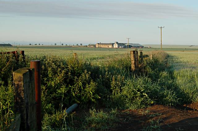 File:Between Abercrombie and Bowhouse - geograph.org.uk - 196266.jpg