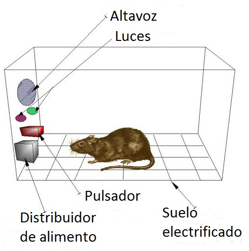 File:Caja de Skinner.jpg