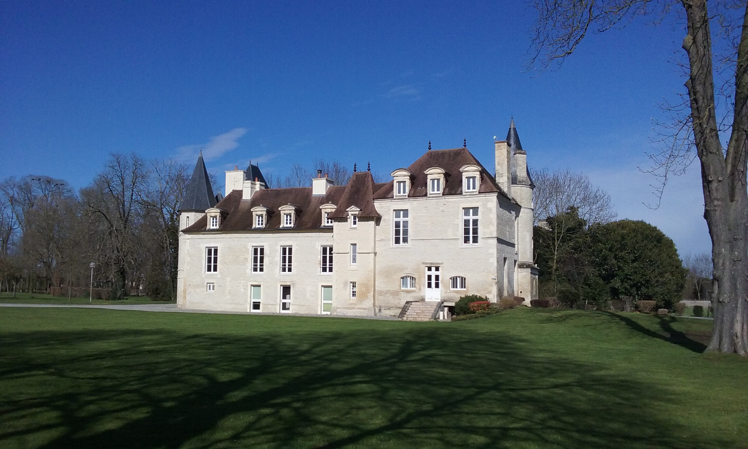 Chateau du breuil fine шато дю брей файн