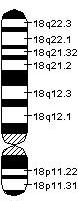генска мапа хромозома 18