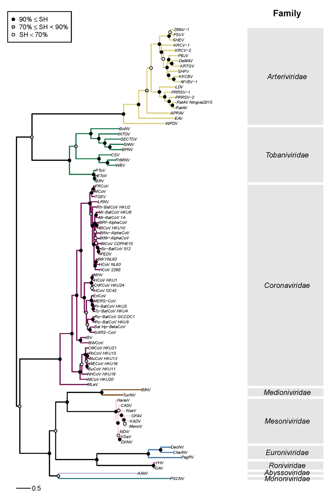 File Cluster Partitioning Of The Phylogenetic Tree Of Nidoviruses 18 By Demarc Png Wikimedia Commons