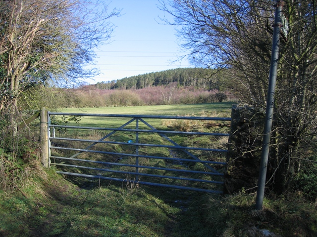 File:Field Gate and View - geograph.org.uk - 338673.jpg