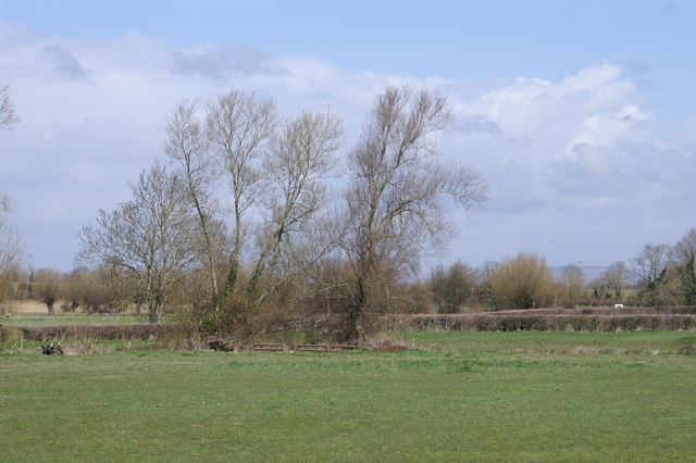 File:Fields - geograph.org.uk - 149145.jpg