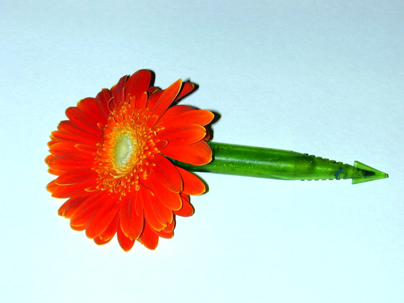 File:Float flower.jpg