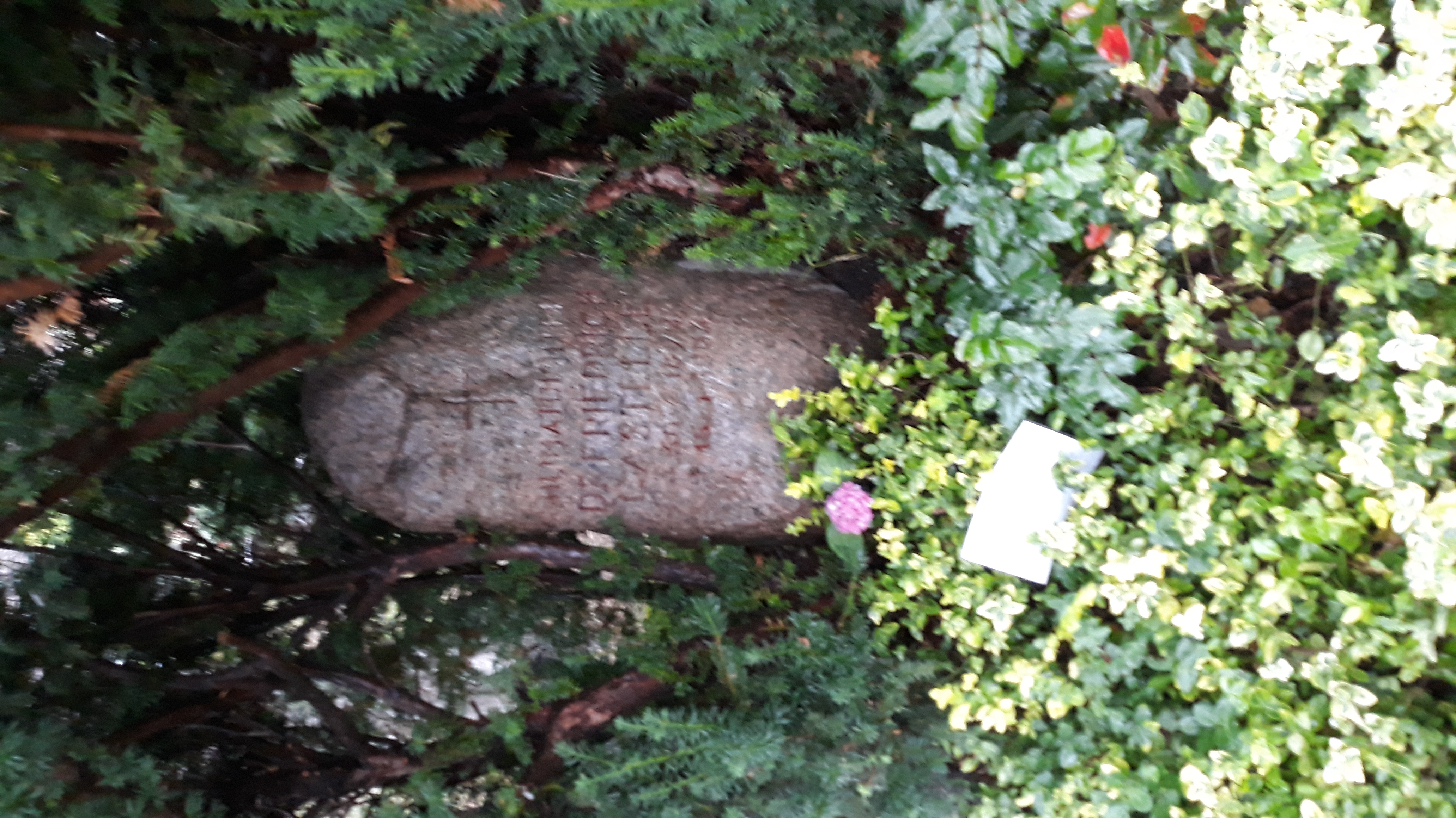 The grave of Friedrich Castelle at the [[Mauritz cemetery