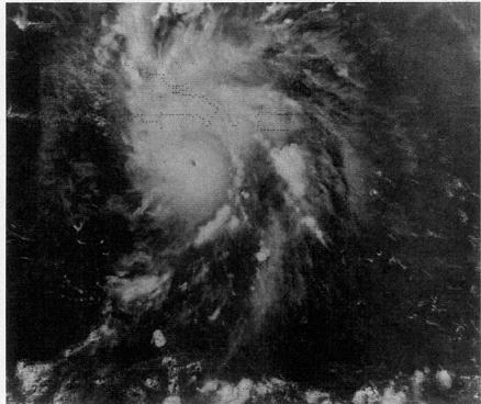 File:Hurricane Emily (1987).JPG