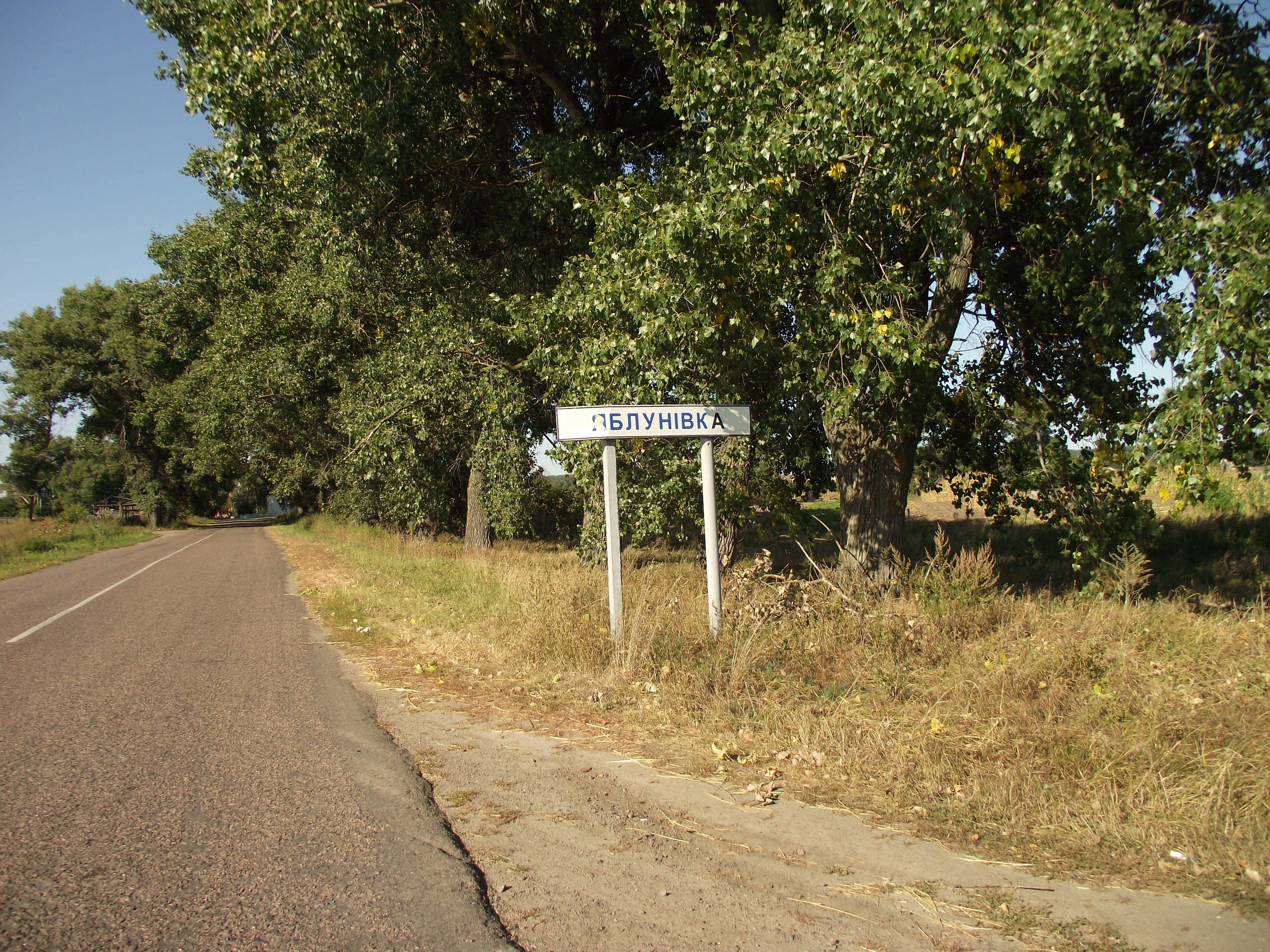 Село киевское. Макаровский район (Киевская область). Яблоновка Украина. Село Яблоновка Украина большая. Яблоновка Киевская область.