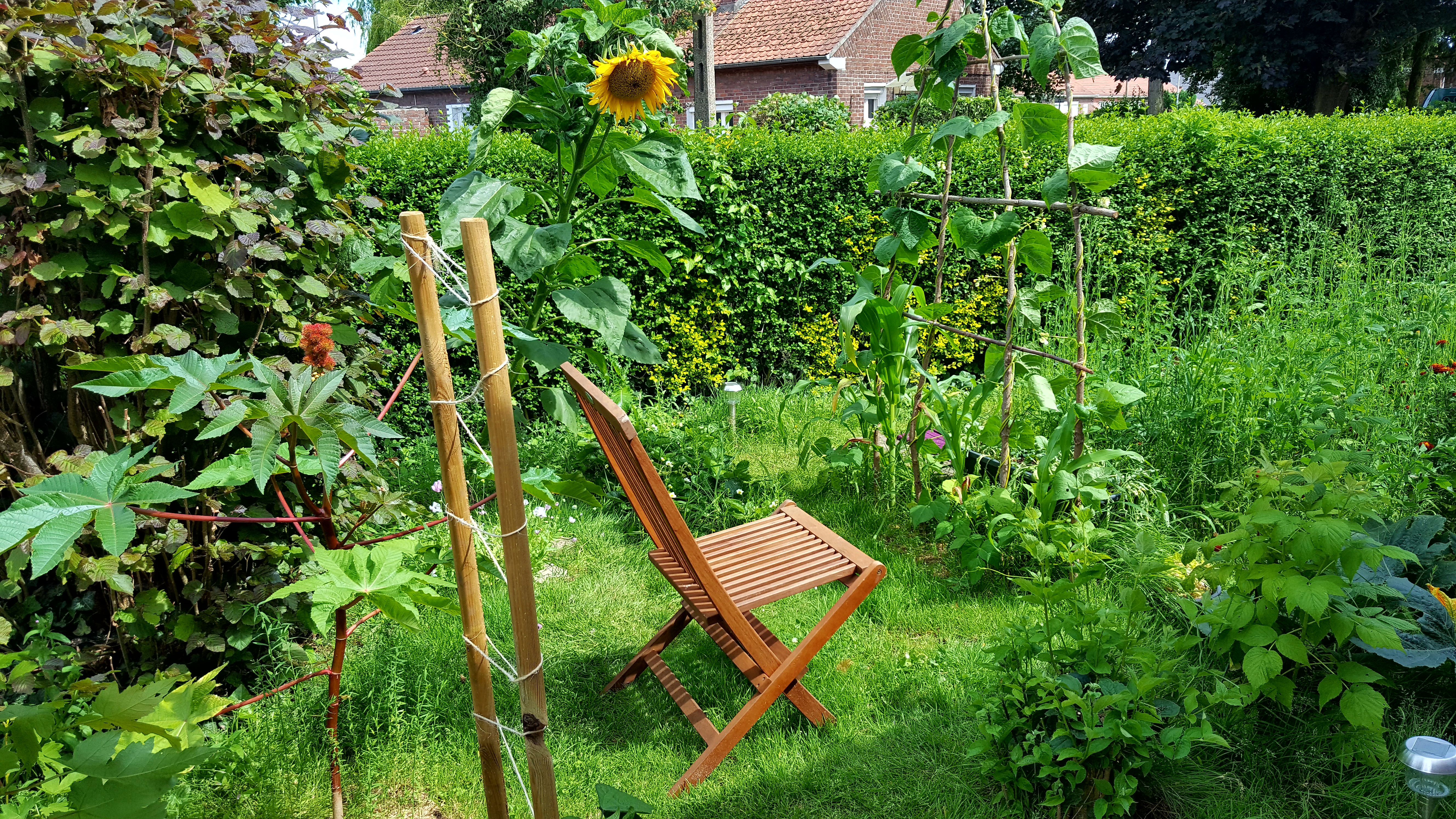 Le paillage potager Big big 500 L livré chez vous