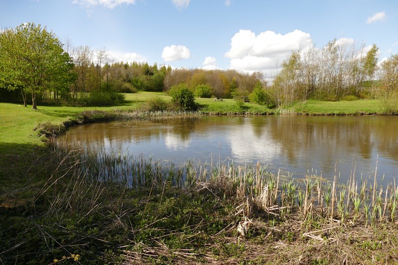 Lake in Grassmoor Country Park - geograph.org.uk - 5416861