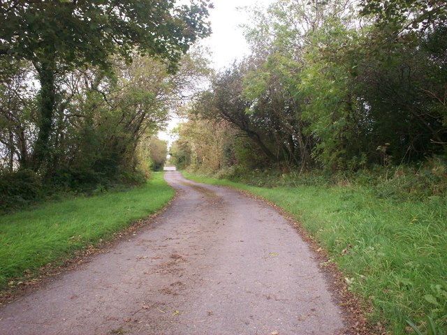 File:Lane into Trenewydd Farm, Llanteg - geograph.org.uk - 998576.jpg