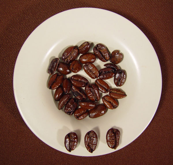 File:Liberica coffee beans, roasted.jpg