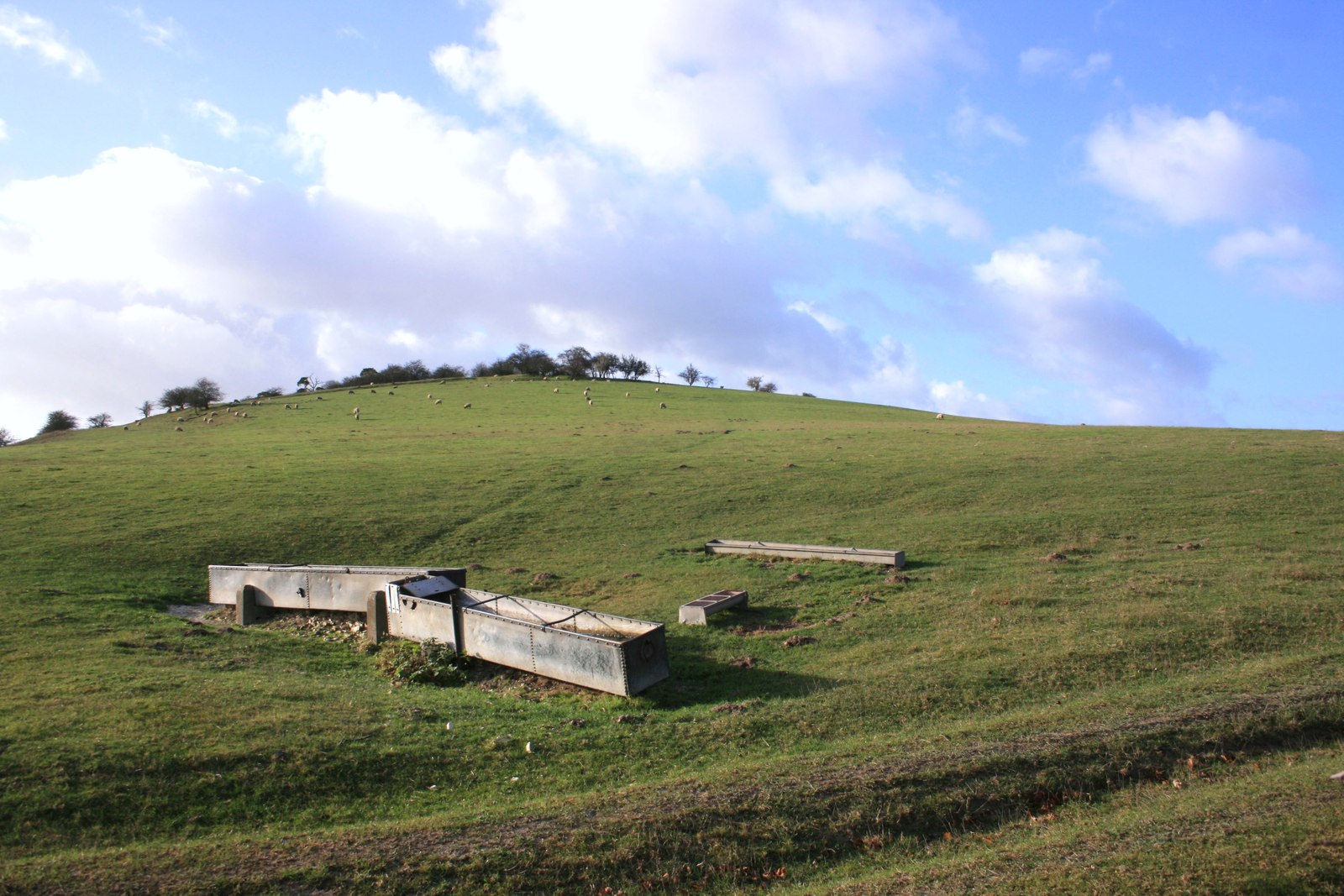 Moulsford Downs