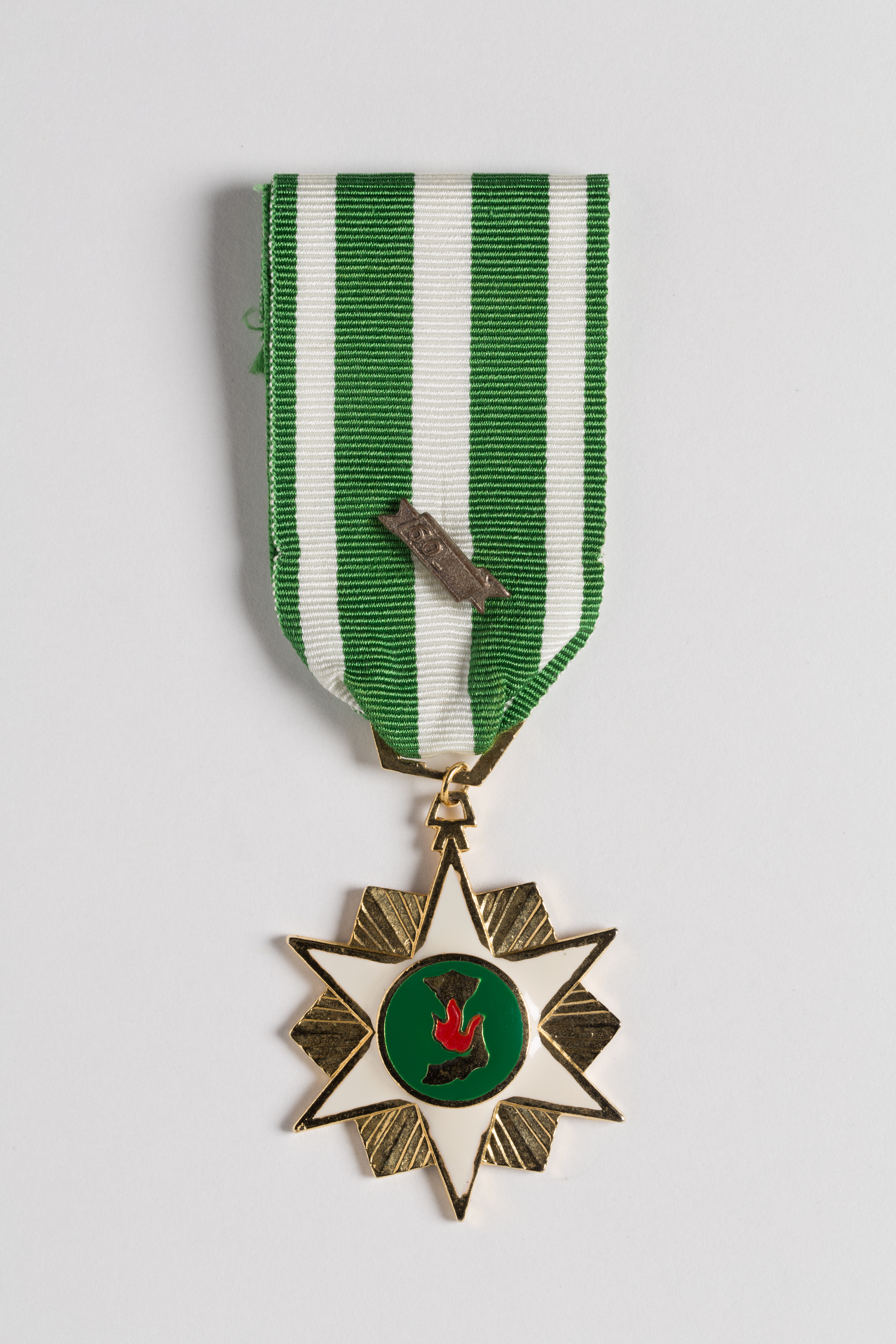 What does the vietnam campaign medal mean