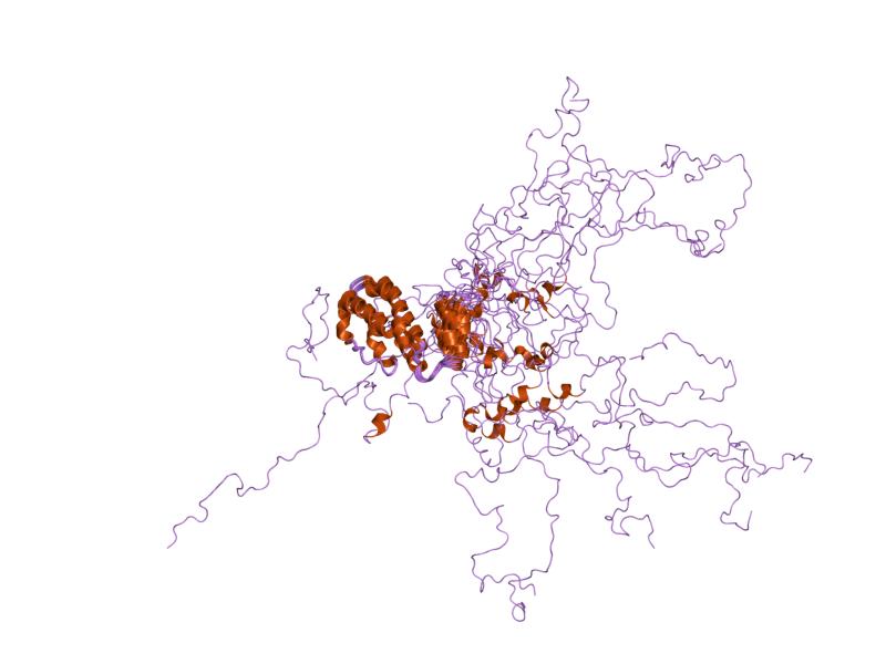 File:PDB 1n4c EBI.jpg