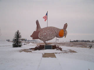 Rothsay (Minnesota)