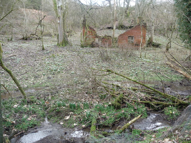 File:Ruined building in Fernyhall Dingle - geograph.org.uk - 1712221.jpg