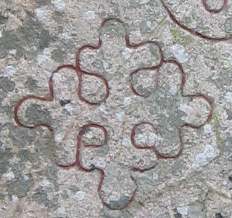 Risbyle Runestones