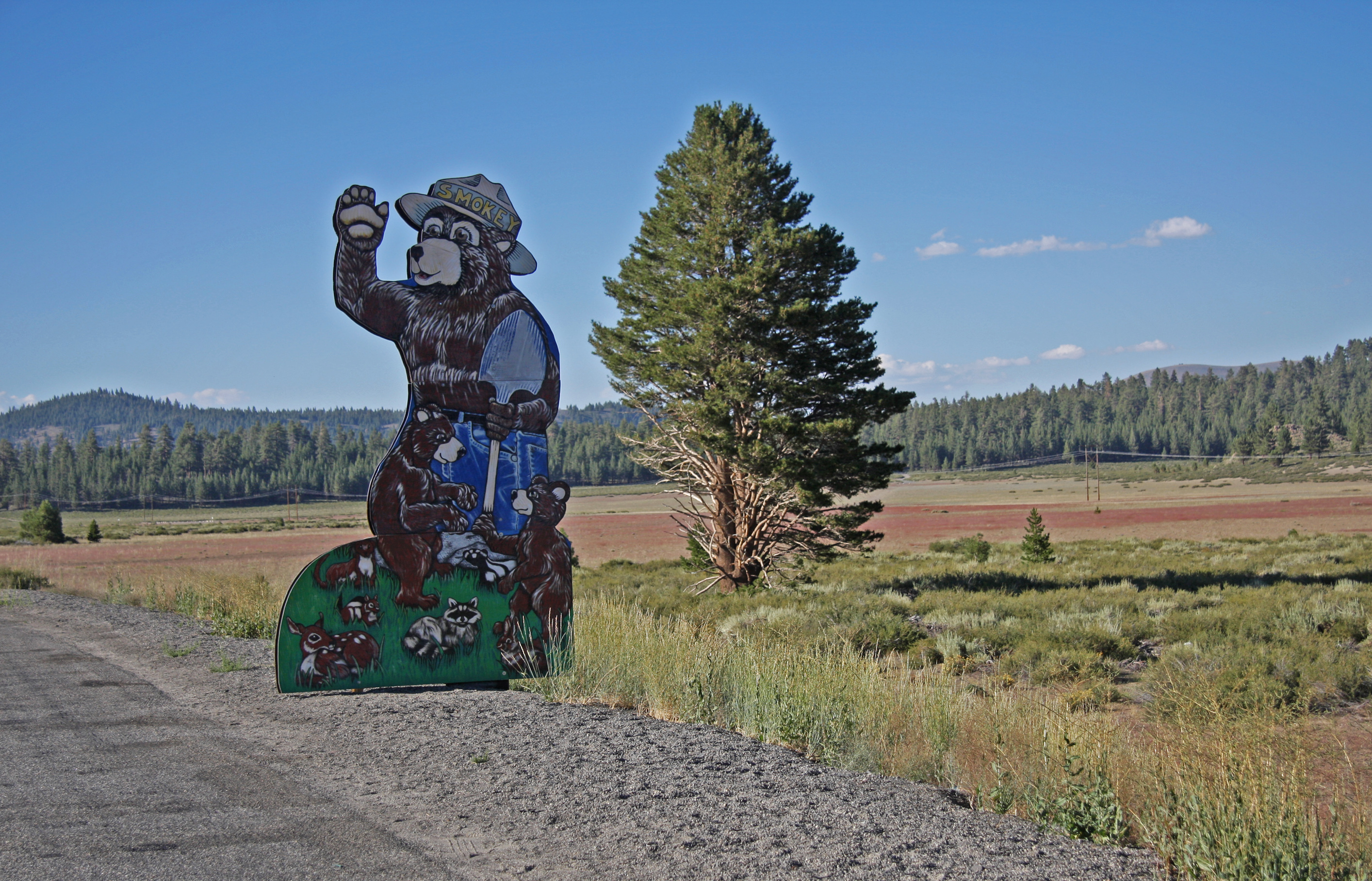 The Smokey Bear Show - Wikipedia