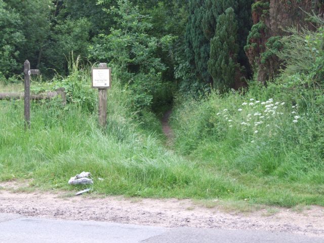 Start of Footpath to Potter's Fen and Scarning Fen - geograph.org.uk - 463431