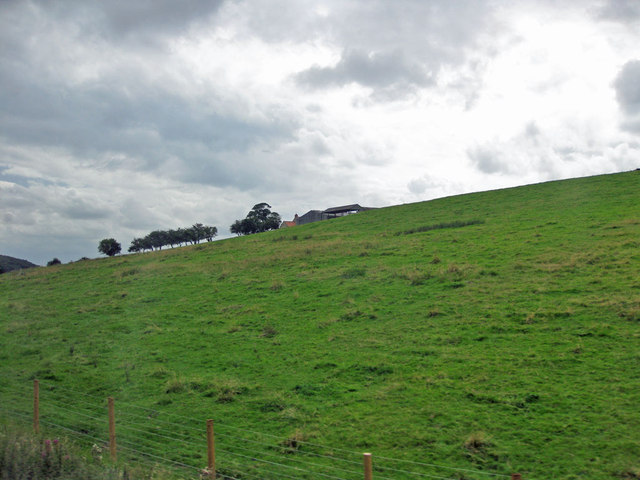 File:Steep bank near Oakcliffe Farm - geograph.org.uk - 3104375.jpg