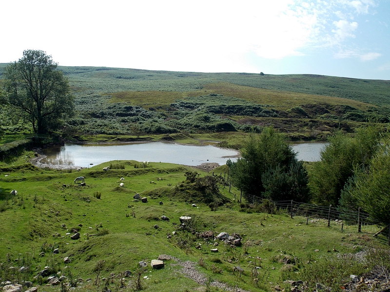 Upland pond near Trefil - geograph.org.uk - 3949213