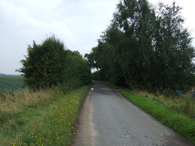 File:Wigtoft Bank - geograph.org.uk - 3619931.jpg