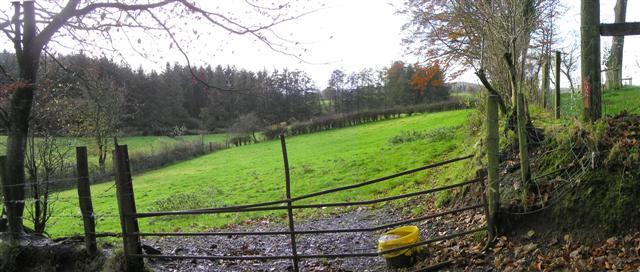 File:"The Purdy Field", Errigle - geograph.org.uk - 1041229.jpg