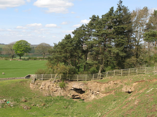 File:(The site of) Milecastle 21 (Down Hill) - geograph.org.uk - 1385764.jpg