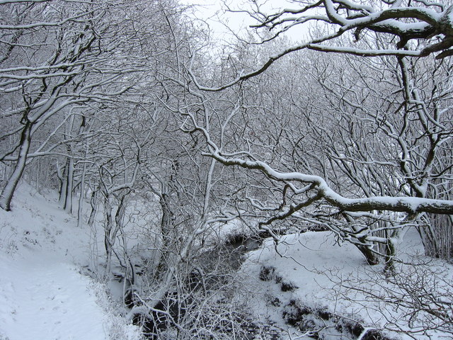 File:A winter wonderland on the Leeds Country Way , Pudsey. - geograph.org.uk - 134083.jpg